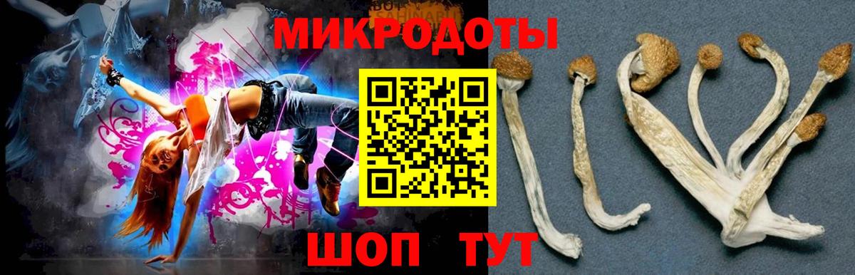 Псилоцибиновые грибы MAGIC MUSHROOMS Краснотурьинск