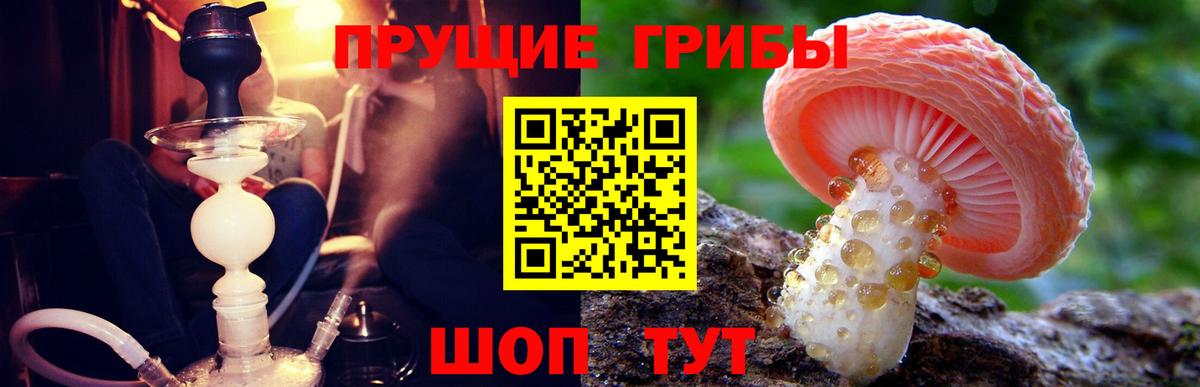 Псилоцибиновые грибы Psilocybine cubensis  купить закладку  Вход с VPN  Краснотурьинск  Галлюциногенные грибы Cubensis 